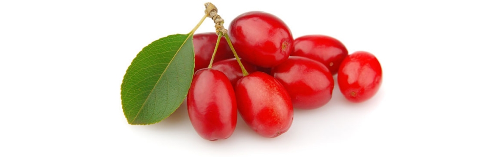 Cornelian Cherry