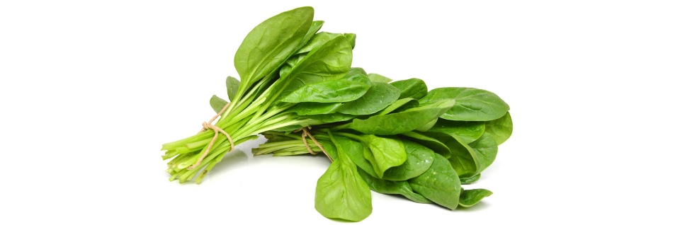 Spinach