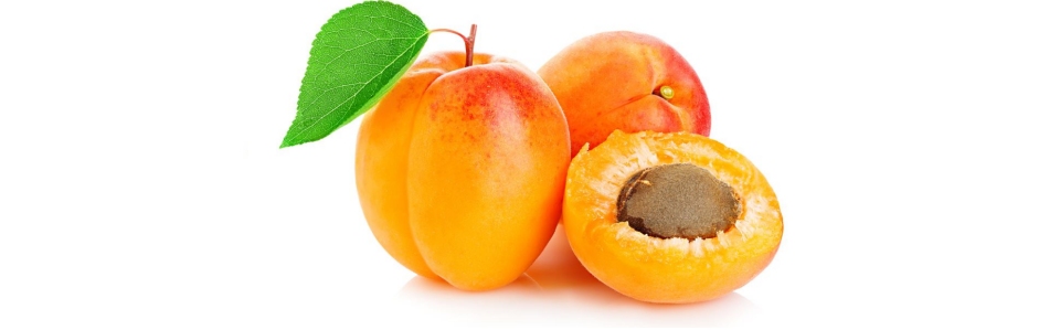 Apricot